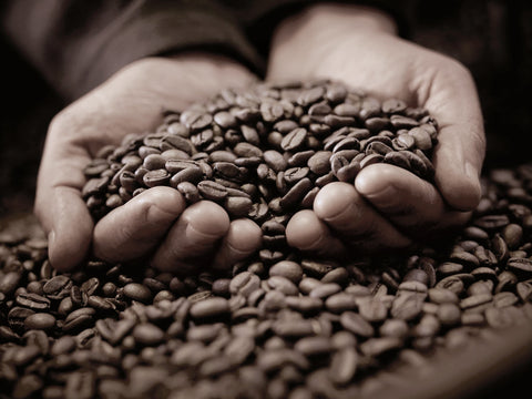 Luxury Italian Mokador Coffee Beans